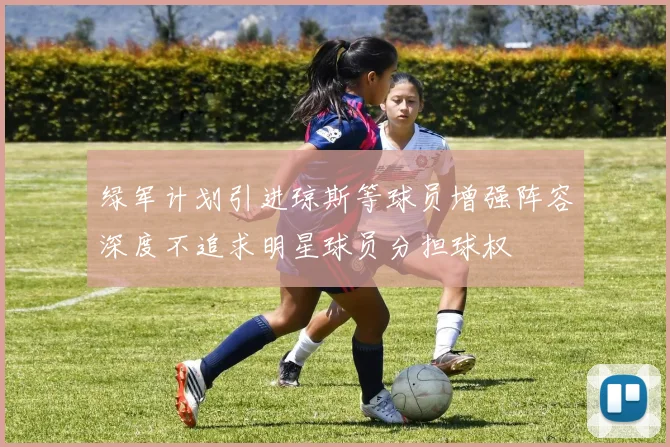 绿军计划引进琼斯等球员增强阵容深度不追求明星球员分担球权