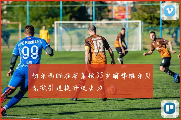 切尔西瞄准布莱顿35岁前锋维尔贝克欲引进提升攻击力